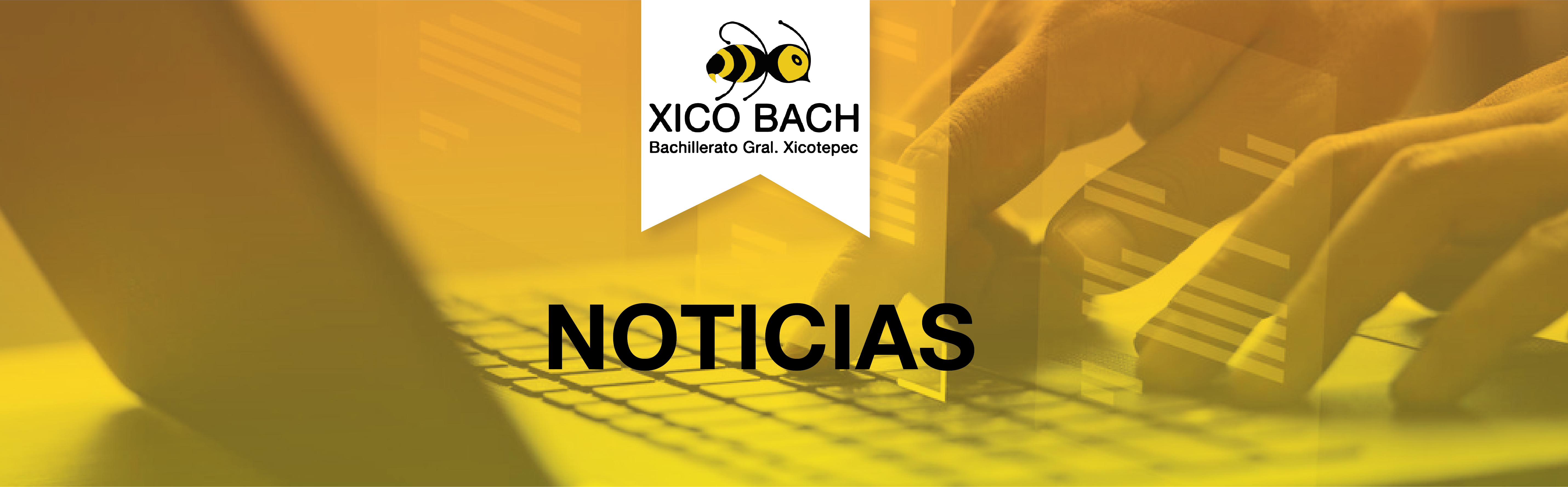 NOTICIAS XB