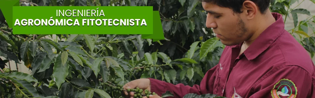 BANNER AGRO UX