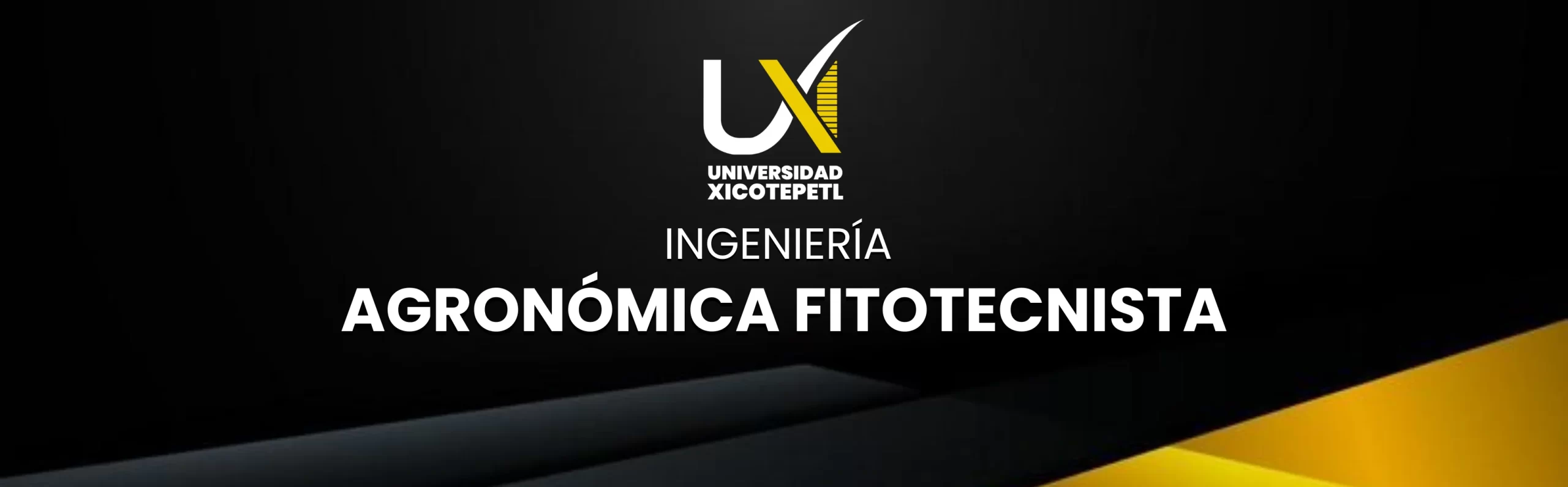 BANNER IAF PLANTILLA DOCENTE