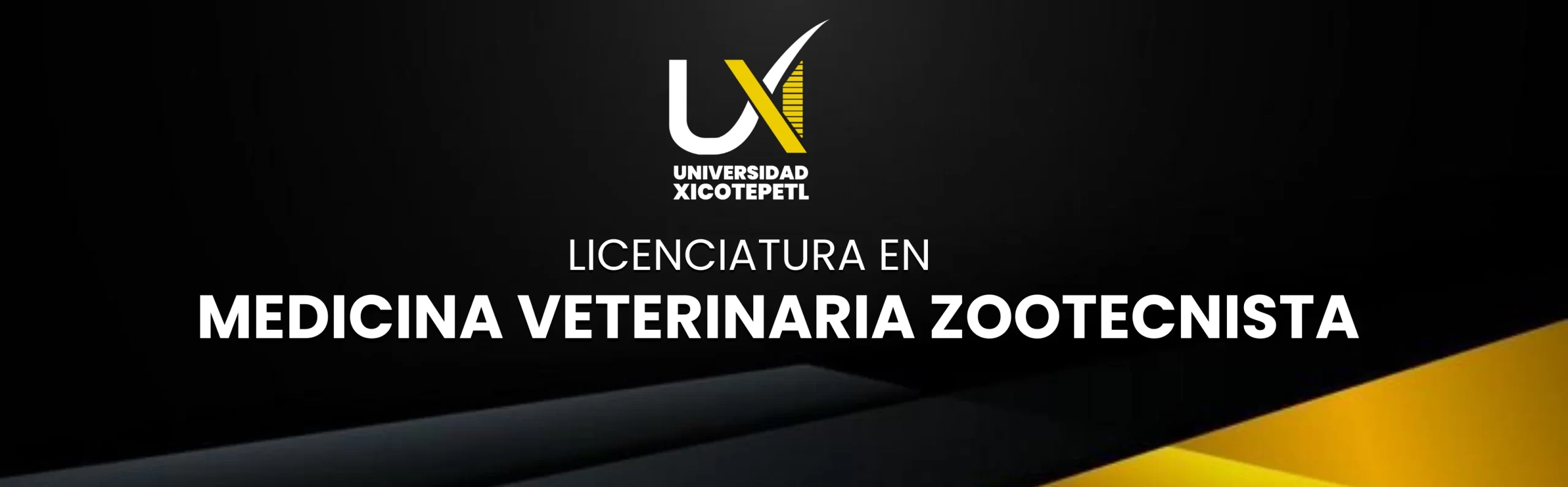 BANNER MVZ PLANTILLA DOCENTE