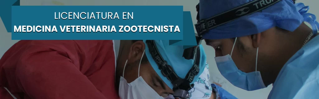 BANNER MVZ UX