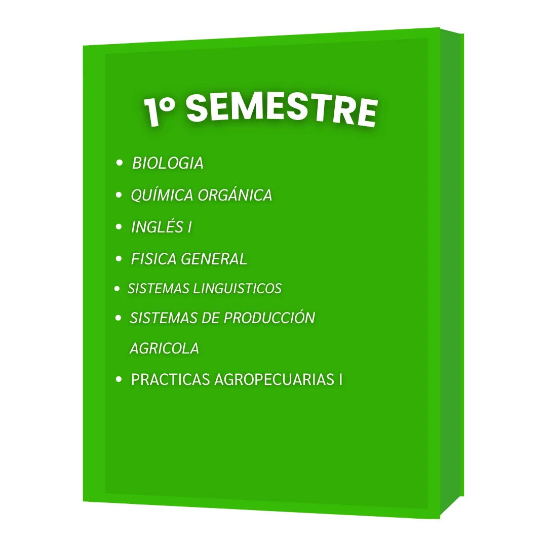 1º SEMESTRE IAF