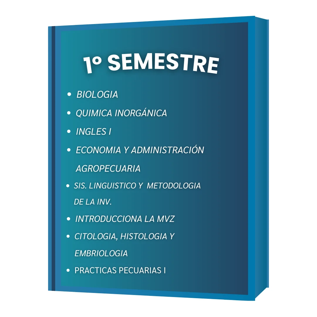 1º SEMESTRE VET