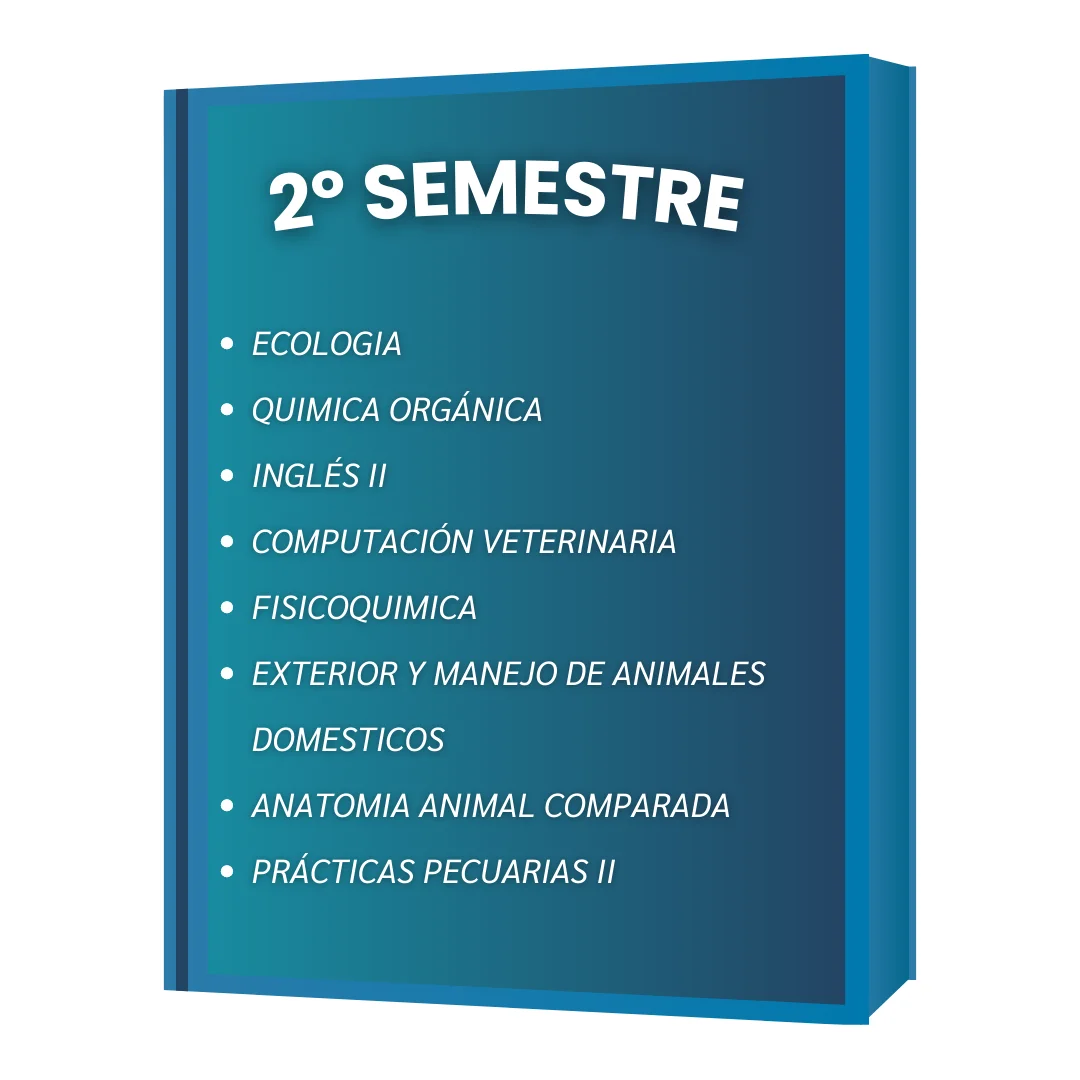 2º SEMESTRE VET