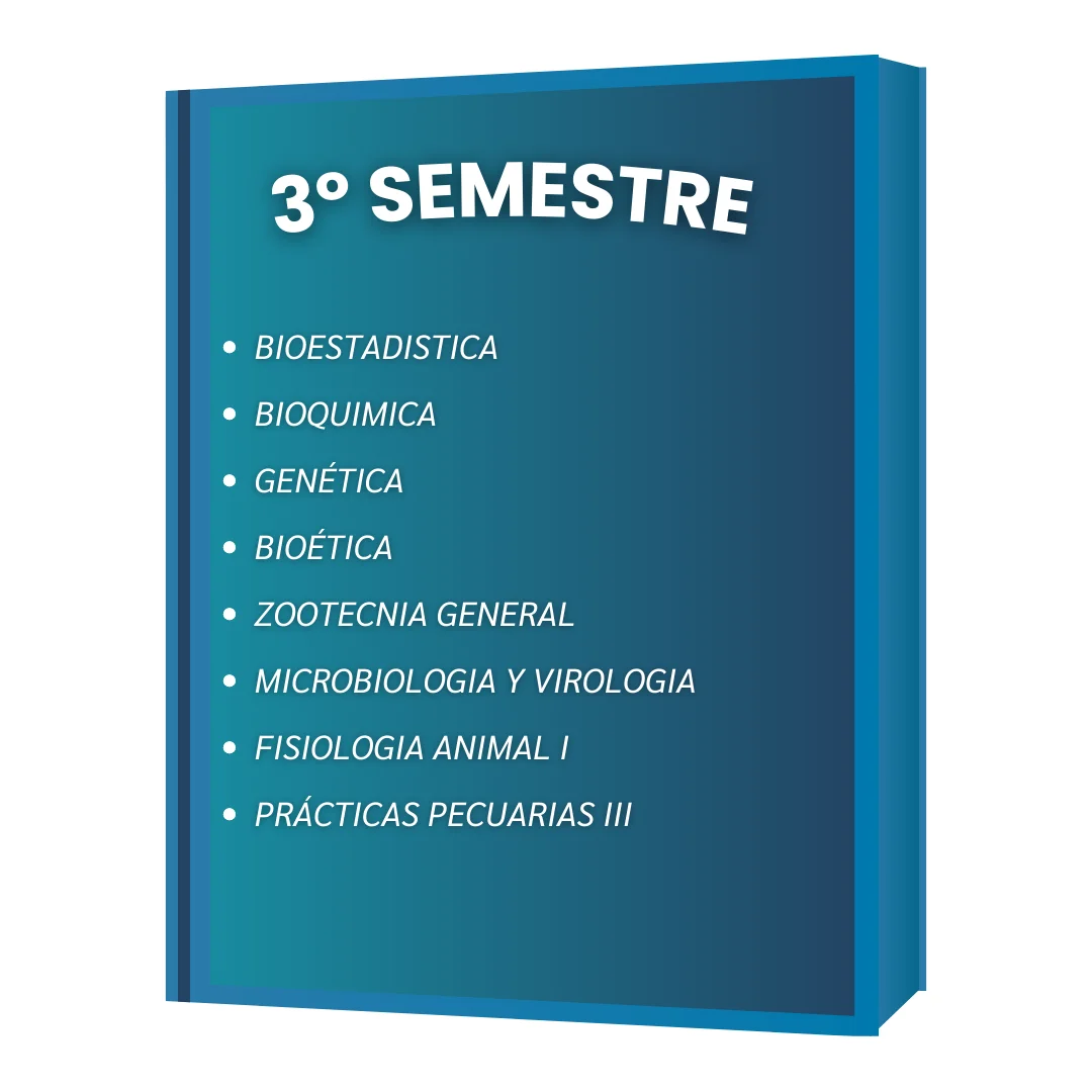3º SEMESTRE VET