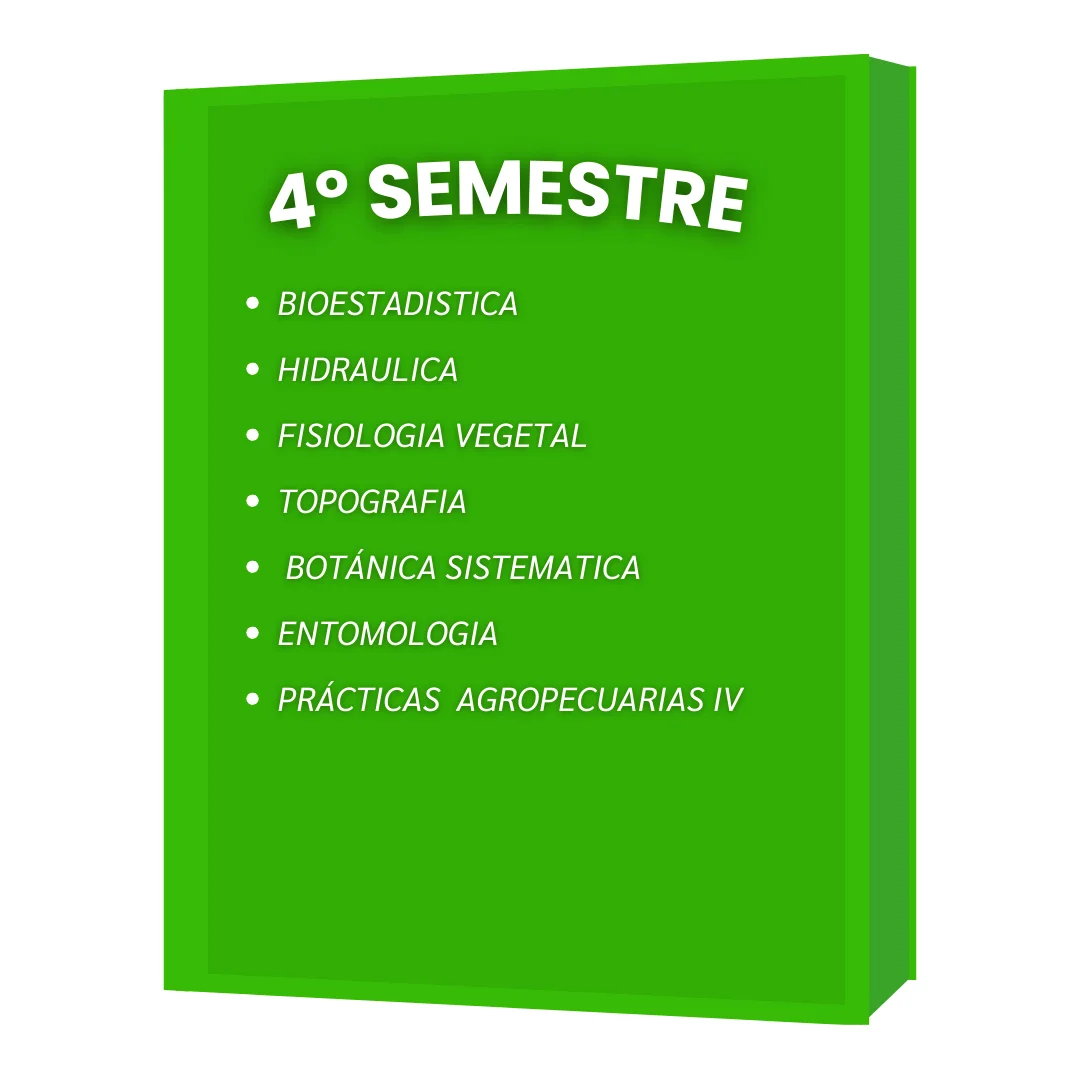 4º SEMESTRE IAF