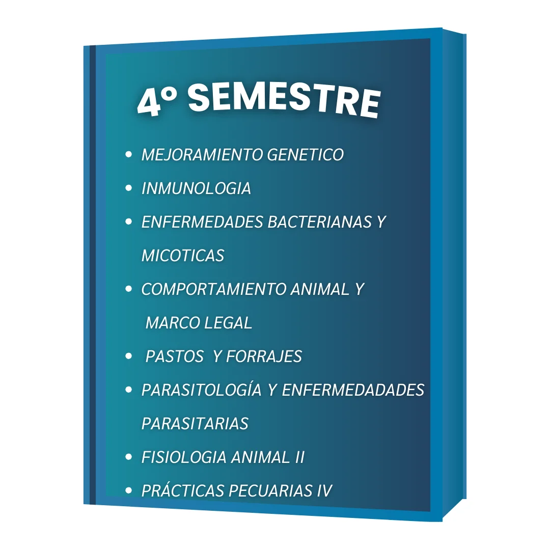 4º SEMESTRE VET