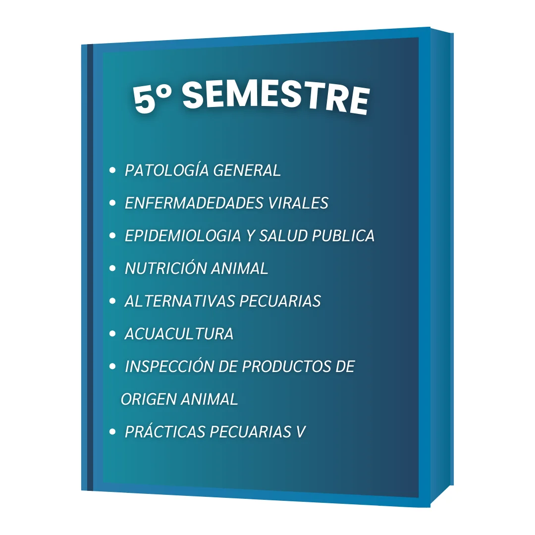 5º SEMESTRE VET