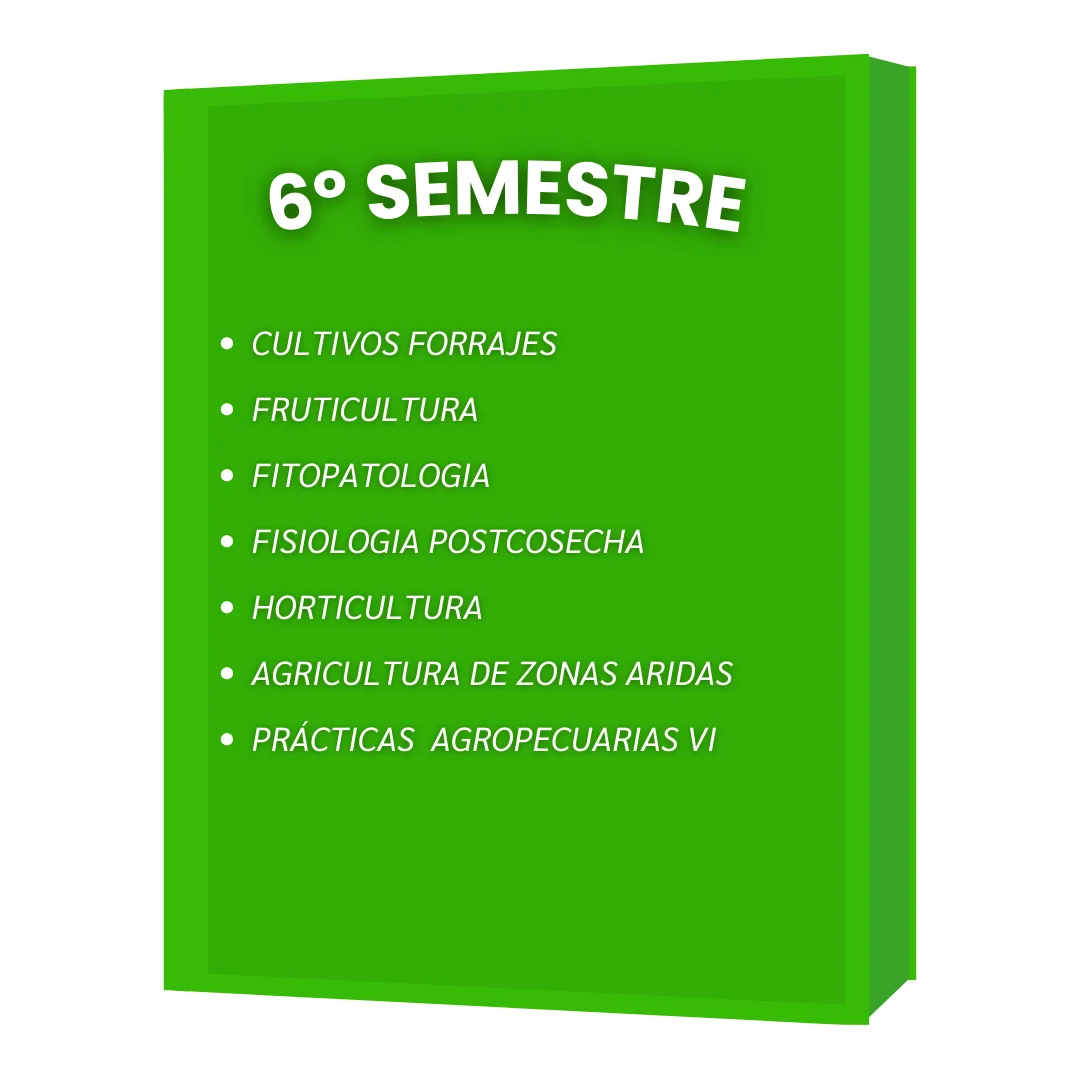 6º SEMESTRE IAF