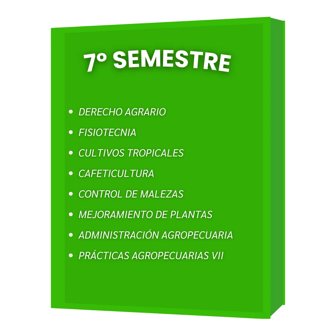 7º SEMESTRE IAF
