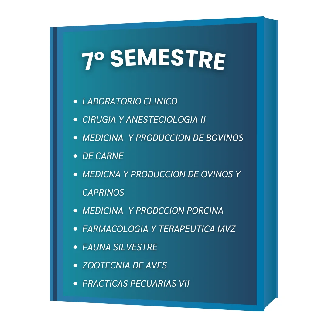 7º SEMESTRE VET