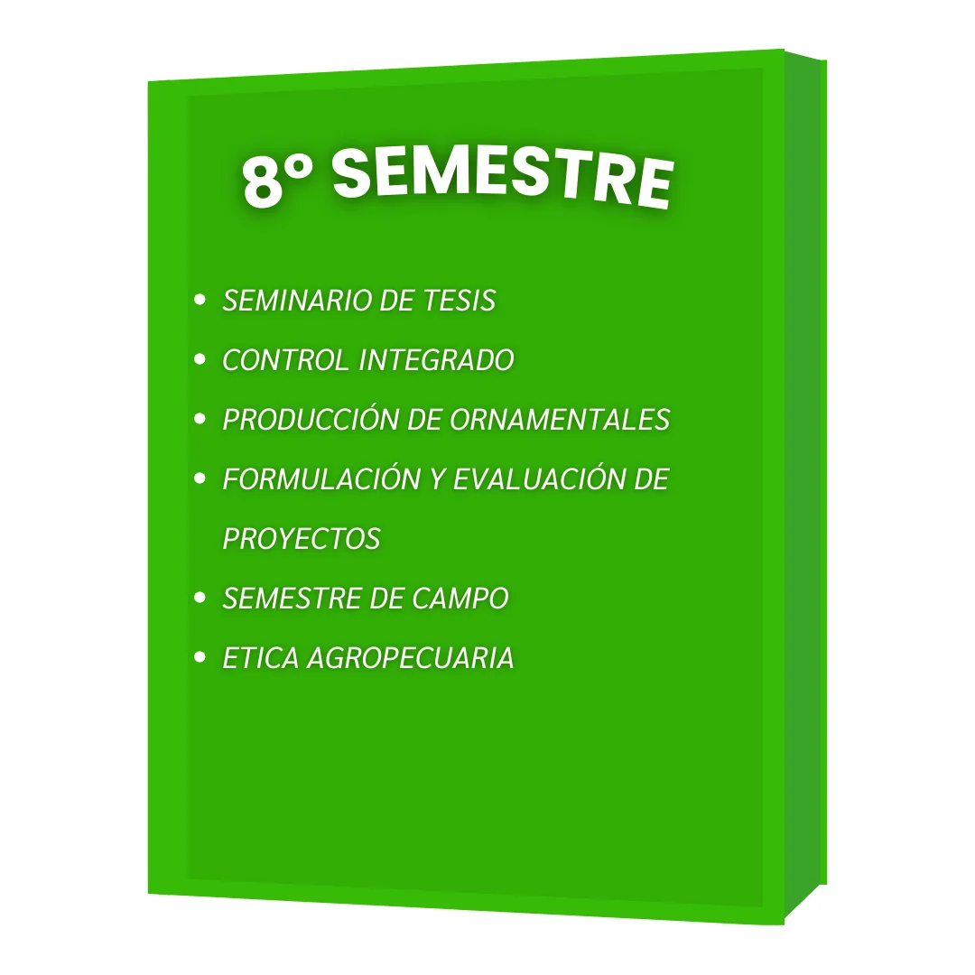 8º SEMESTRE IAF
